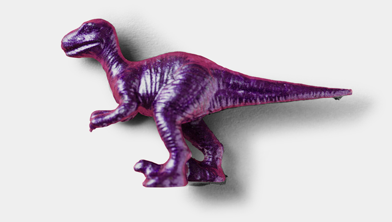 Raptor pic